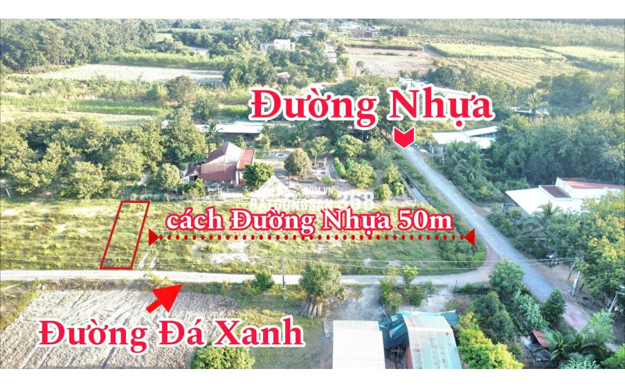 Cho thuê đất thổ cư 126.9m² tại ấp Bến Cừ – xã Ninh Điền, Châu Thành, Tây Ninh