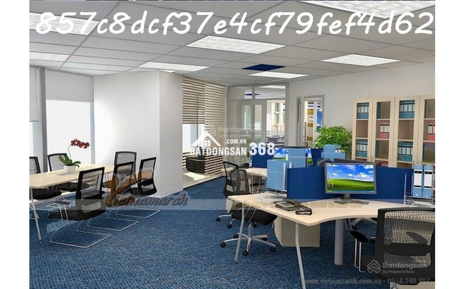 AI Bán nhà 228m² Lý Thường Kiệt, Tân Bình, 90 tỷ, sổ đỏ