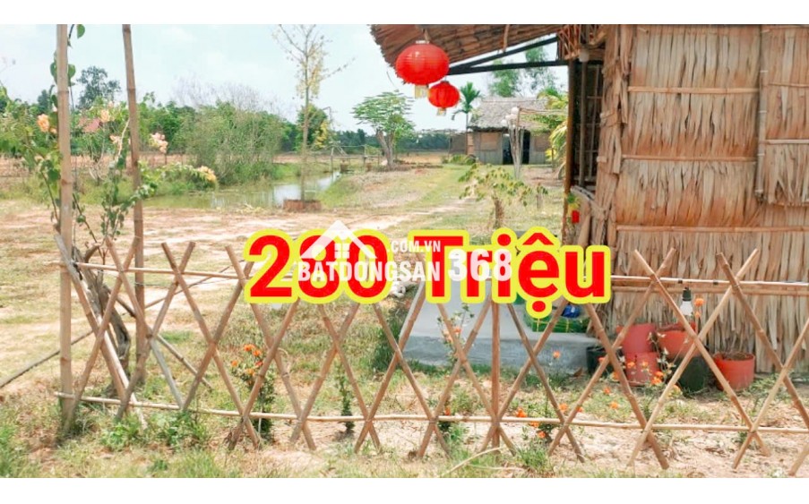 280 Triệu sang Tên 1000m2 có Thổ Cư, Gần DT 818, mỗi tháng trả thêm 3 triệu