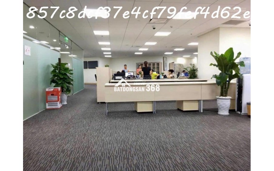 AI Bán nhà 228m² Lý Thường Kiệt, Tân Bình, 90 tỷ, sổ đỏ