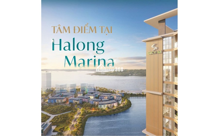 BÁN CĂN HỘ SKY M HẠ LONG - STUDIO - 31M2 - 1.5 TỶ - VỊ TRÍ VÀNG BÃI CHÁY