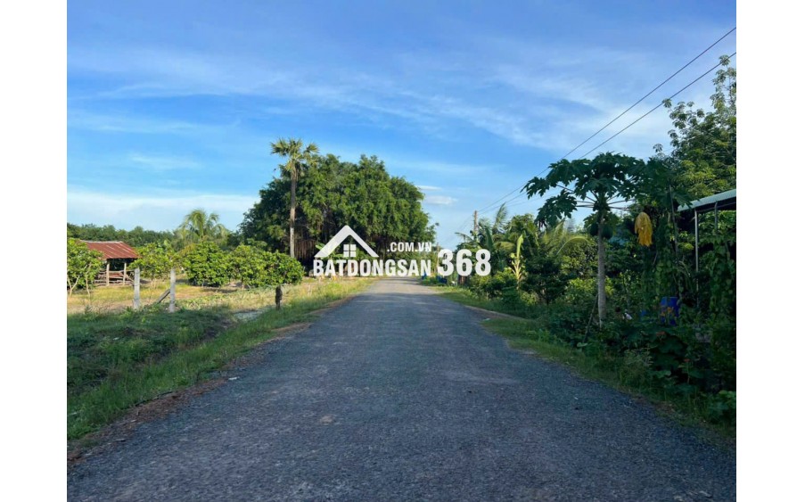 Cho thuê đất thổ cư 126.9m² tại ấp Bến Cừ – xã Ninh Điền, Châu Thành, Tây Ninh