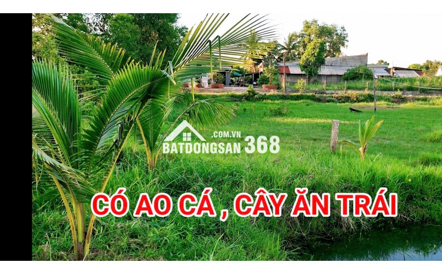 280 Triệu sang Tên 1000m2 có Thổ Cư, Gần DT 818, mỗi tháng trả thêm 3 triệu