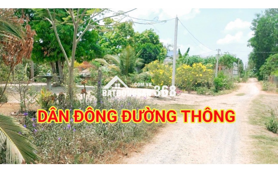 280 Triệu sang Tên 1000m2 có Thổ Cư, Gần DT 818, mỗi tháng trả thêm 3 triệu