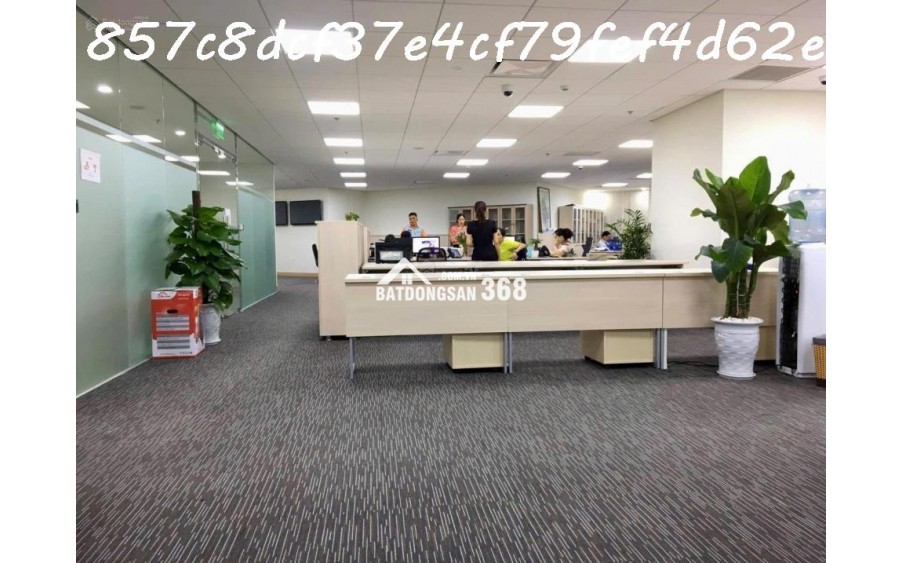 AI Bán nhà 228m², 7 tầng, Lý Thường Kiệt, Tân Bình, 85 tỷ, sổ đỏ