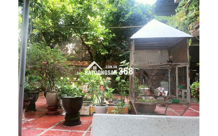 Căn nhà sân vườn phù hợp để nghỉ dưỡng ngay trung tâm Hải Châu, TP. Đà Nẵng