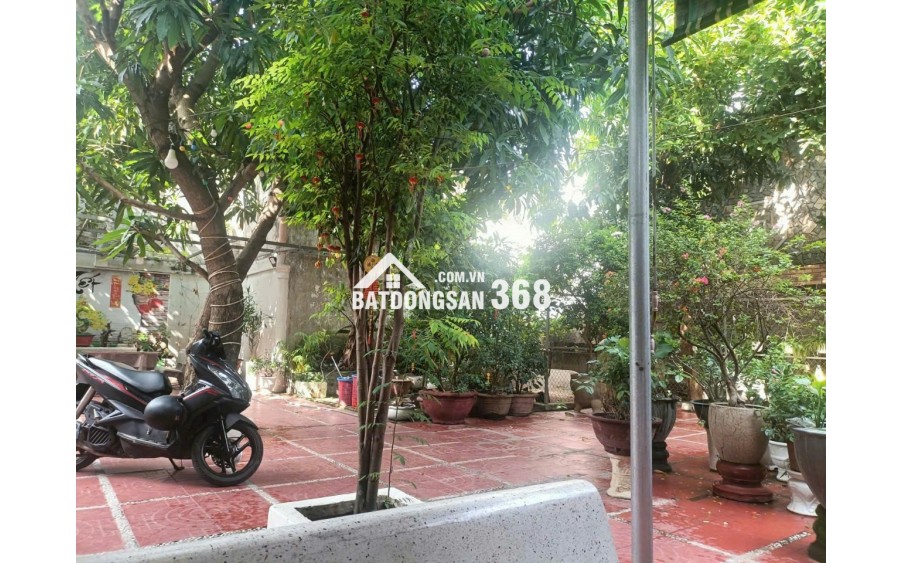 Căn nhà sân vườn phù hợp để nghỉ dưỡng ngay trung tâm Hải Châu, TP. Đà Nẵng
