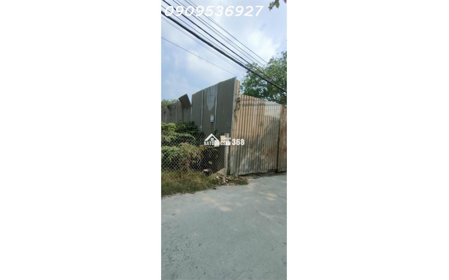 BÁN ĐẤT LÚA TÂN TẠO BÌNH TÂN – 500M² (12x45) – SỔ RIÊNG – GIÁ CHỈ 6.55 TỶ