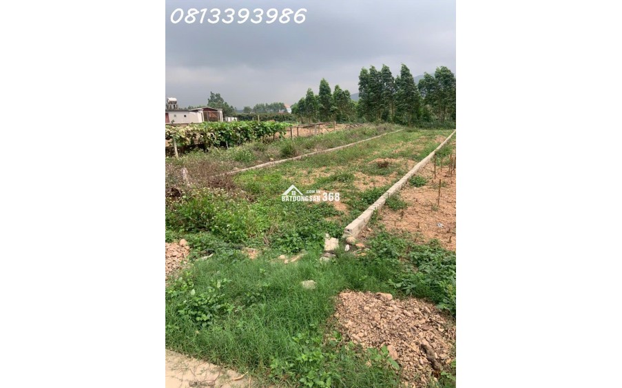 Bán đất thổ cư 174m² Huyền Sơn - Lục Nam - Bắc Giang, 500 triệu, sổ đỏ