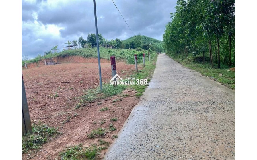 BÁN LOCK 5 LÔ KHÁNH ĐÔNG, KHÁNH VĨNH, KHÁNH HÒA FULL THỔ DÂN ĐÔNG 2 ĐẦU, ĐƯỜNG Ô TÔ TẬN ĐẤT