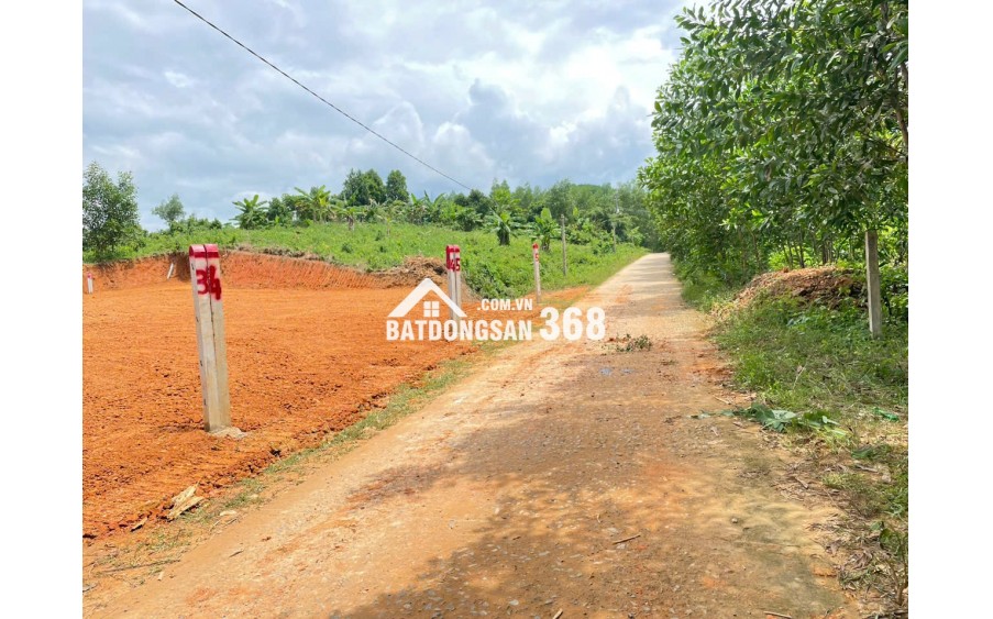 BÁN LOCK 5 LÔ KHÁNH ĐÔNG, KHÁNH VĨNH, KHÁNH HÒA FULL THỔ DÂN ĐÔNG 2 ĐẦU, ĐƯỜNG Ô TÔ TẬN ĐẤT