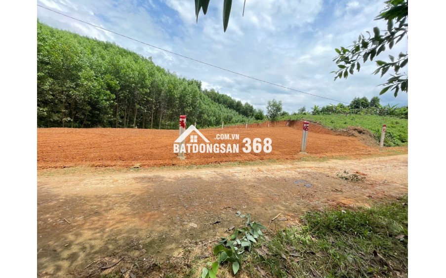 BÁN LOCK 5 LÔ KHÁNH ĐÔNG, KHÁNH VĨNH, KHÁNH HÒA FULL THỔ DÂN ĐÔNG 2 ĐẦU, ĐƯỜNG Ô TÔ TẬN ĐẤT