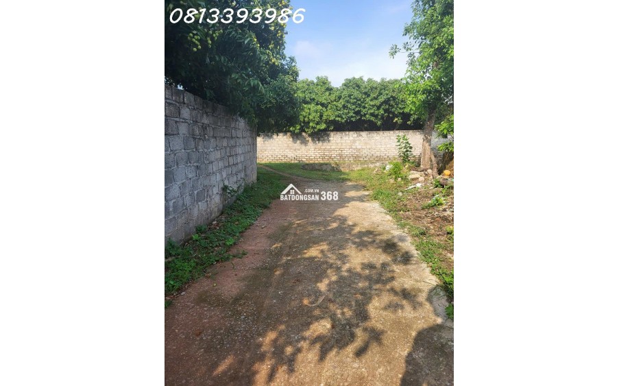  Đầu tư thông minh với lô đất sinh lời cực nhanh!