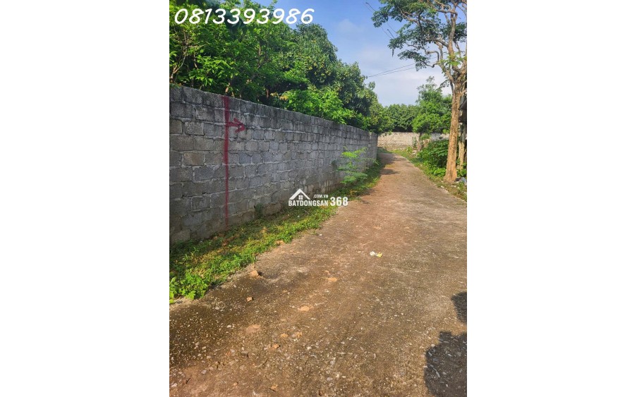  Đầu tư thông minh với lô đất sinh lời cực nhanh!