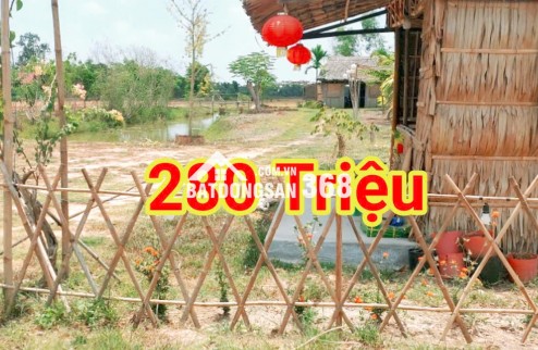 280 Triệu sang Tên 1000m2 có Thổ Cư, Gần DT 818, mỗi tháng trả thêm 3 triệu