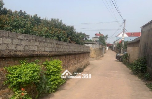 Siêu phẩm đất nền trung tâm Chu Điện lỤC NAM Bắc Giang, giá chỉ hơn 3 triệu/m², pháp lý rõ ràng