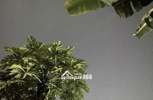 Bán đất thổ cư + nông nghiệp liền kề, xây nhà kết hợp làm vườn – chính chủ, giá tốt