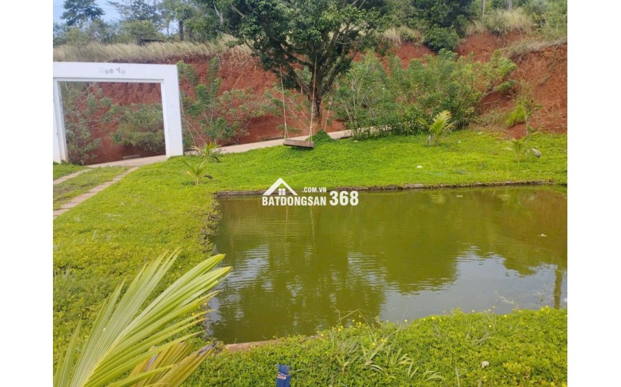 CHÍNH CHỦ BÁN ĐẤT KÈM NHÀ MẶT TIỀN 7M TẠI QUẢNG TRỰC-TUY ĐỨC