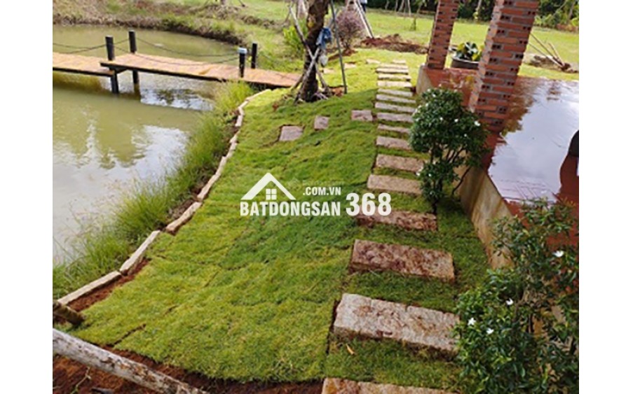 Cần bán lỗ khu vườn tuyệt đẹp ngay khu dân, có suối chảy bao quanh đất.