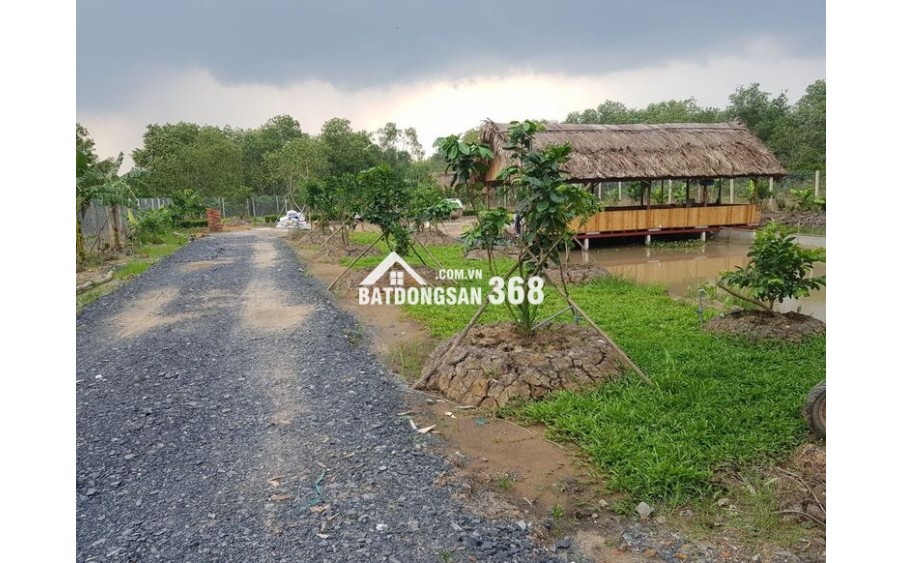 Bán Gấp 1000m2 Đất Vườn Giá 210 Triệu Liên Hệ 0706320631 gặp A An