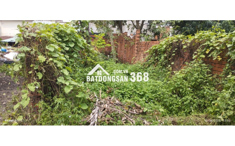 Bán gấp 60m2 đất trồng cây lâu năm Lê Văn Khương, Đông Thạnh Hóc Môn
