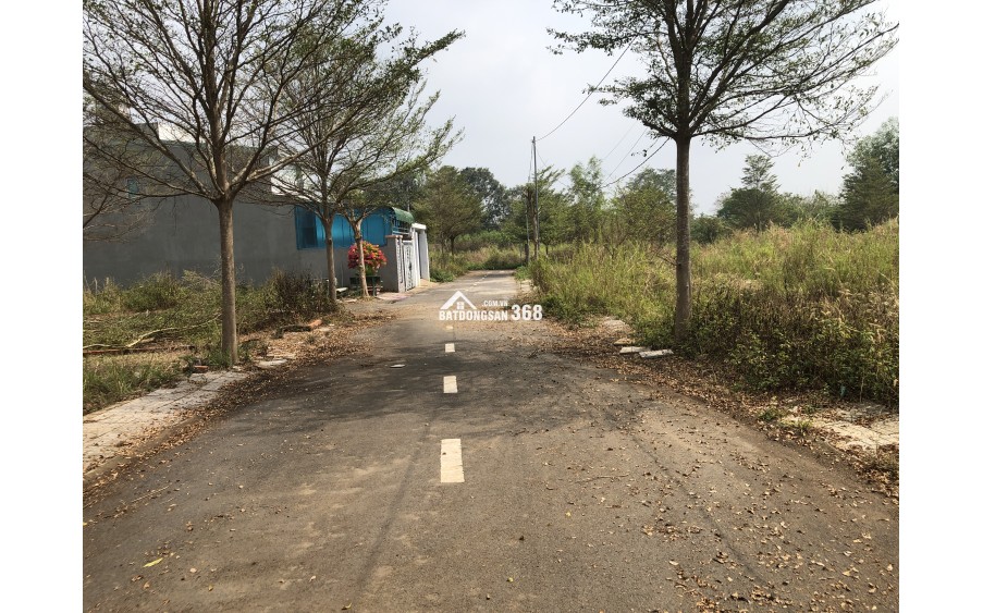 Đất xã Trảng Bom, Đồng Nai, 118m2, gần Nguyễn Hoàng 950 tr