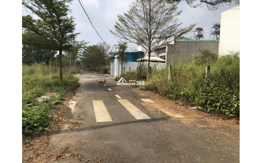 Bán 118m2 đất ở 1 sẹc Nguyễn Hoàng, xã Trảng Bom, tỉnh Đồng Nai