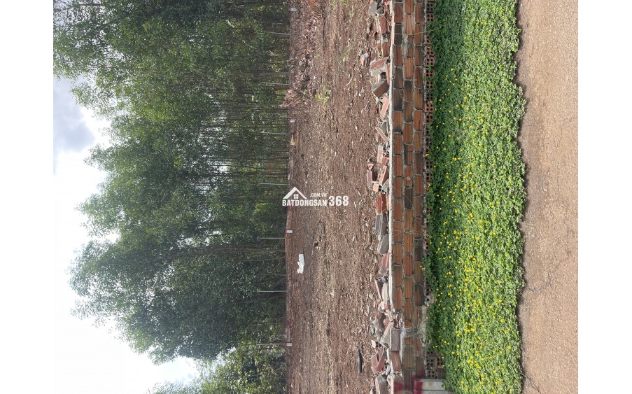 Kẹt tiền Cần Bán 100m2, Sổ riêng  thổ cư 100%, Tại Huyện Trảng Bom Chỉ 8xx