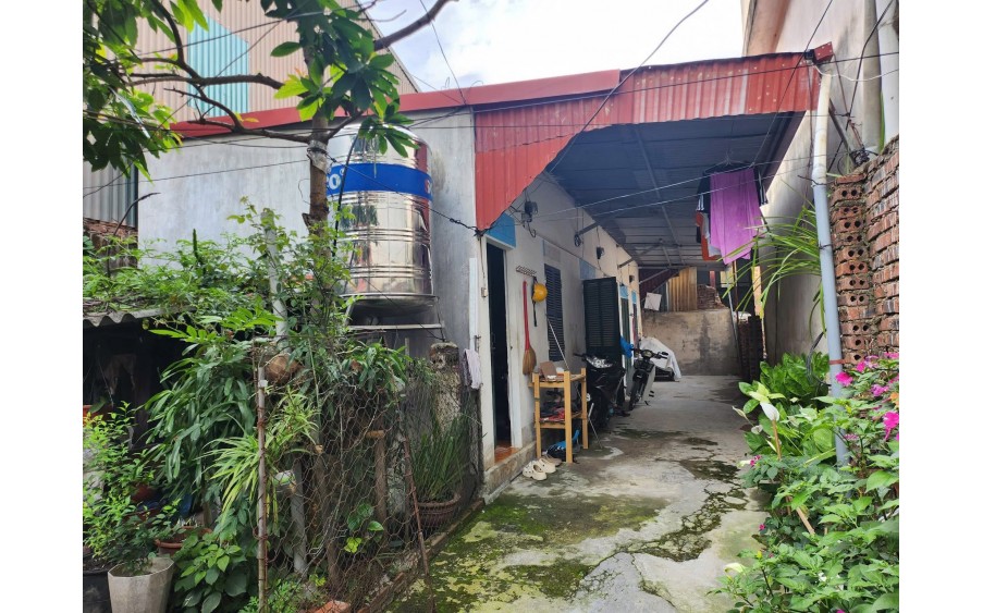 Bán dãy trọ trung tâm thành phố