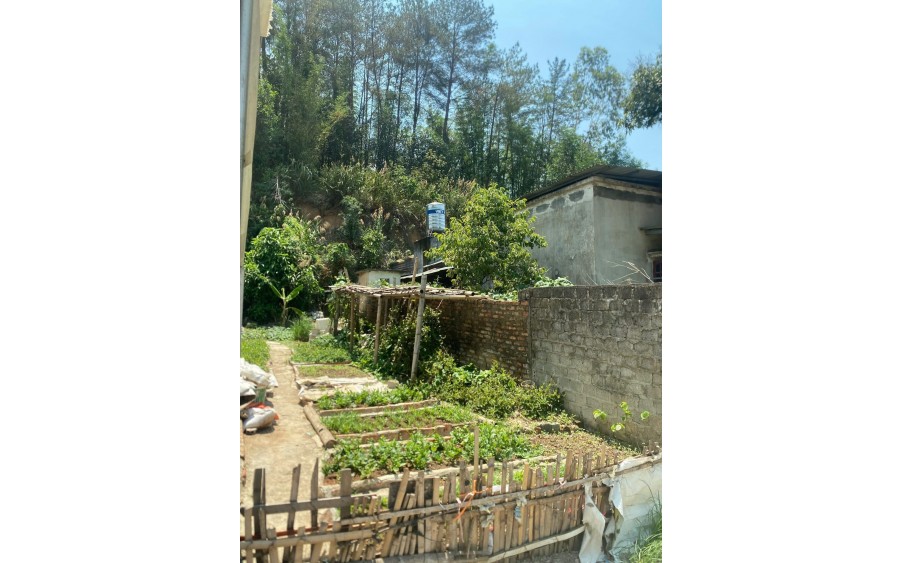 BÁN ĐẤT Ở TẠI ĐÔ THỊ