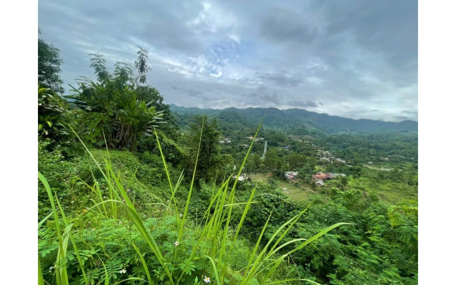 Bán đất có nhà ở và kho bãi xã Thanh Minh tp Điện Biên Phủ