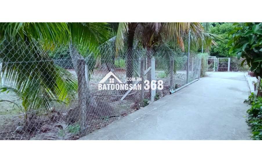 Bán Lô Đất Đẹp Mặt Tiền Đường An Sơn 32 – Gần Quanh Đai 3 – Chỉ 9,2 Triệu/M²