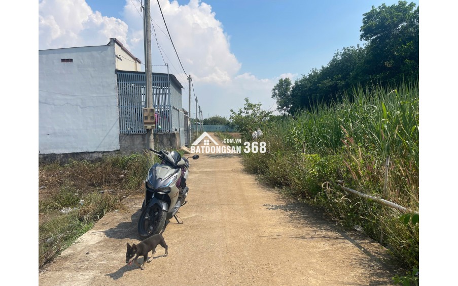 Giá 785 tr (bao sổ) đất ở cạnh KCN Bàu Xéo