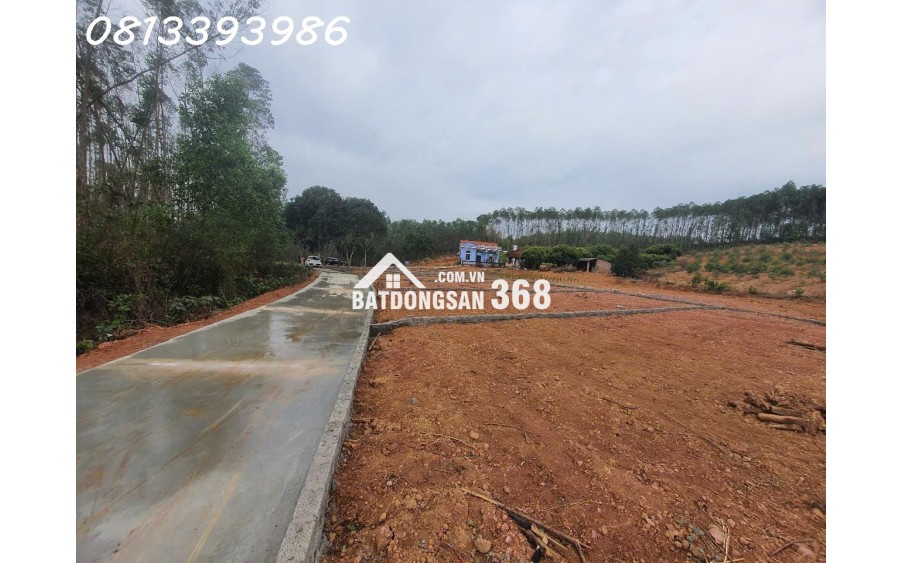  “180m² mặt tiền rộng, vị trí vàng – chớp cơ hội sinh lời chỉ trong một quyết định!”