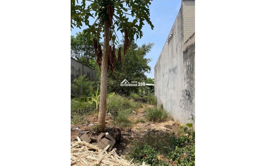  BÁN ĐẤT 143m² CHỈ TỪ 950 TRIỆU – SÔNG TRẦU, GẦN CHỢ SỐ 9 – ĐƯỜNG NHỰA, KD TỐT!