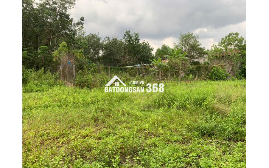 BÁN ĐẤT LỚN TÂY NINH – HƠN 1HA – CÓ 400M² THỔ CƯ – MẶT TIỀN ĐƯỜNG LỚN – GIÁ CHỈ 12 TỶ