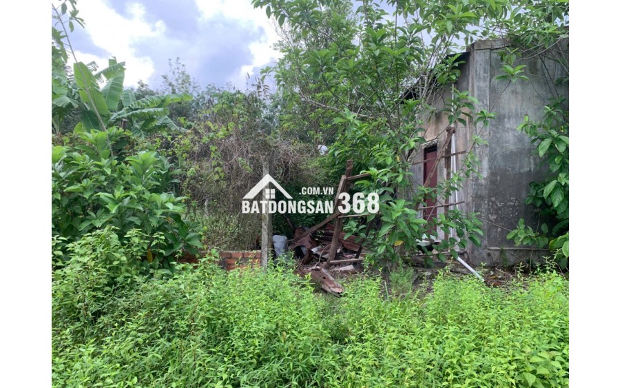 BÁN ĐẤT LỚN TÂY NINH – HƠN 1HA – CÓ 400M² THỔ CƯ – MẶT TIỀN ĐƯỜNG LỚN – GIÁ CHỈ 12 TỶ