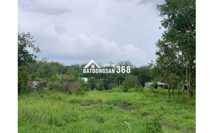 BÁN ĐẤT MẶT TIỀN ĐH.244 – HƠN 1HA CÓ THỔ CƯ – VỊ TRÍ ĐẸP TẠI TÂN CHÂU, TÂY NINH – GIÁ 12 TỶ