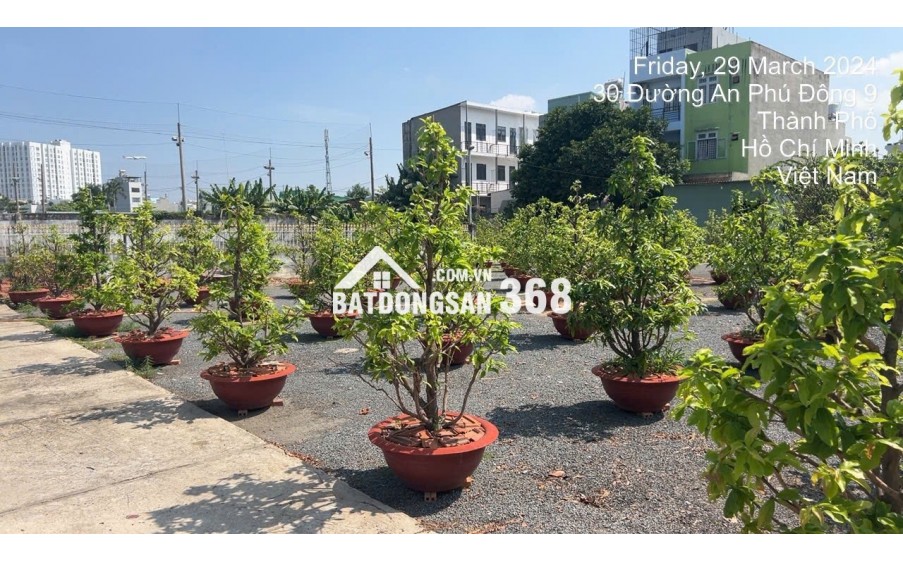 ĐẦU TƯ ĐÓN SÓNG – BÁN ĐẤT MẶT TIỀN ĐƯỜNG AN PHÚ ĐÔNG 9, Q.12 – HƠN 3.200M² – GIÁ CHỈ 60 TỶ