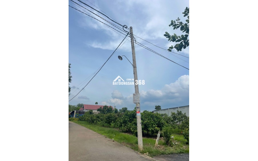 Bán đất Đồi 61 tờ 16/1487, cạnh KCN Bàu Xéo, 90m2 thổ cư 850 tr