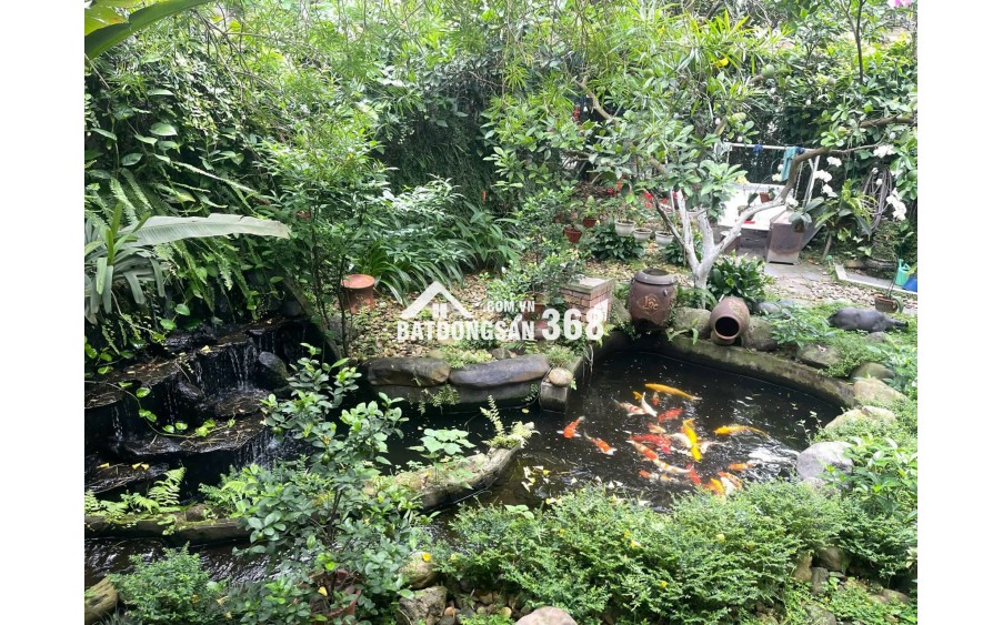  BÁN BIỆT THỰ SÂN VƯỜN NGỌC THỤY – TRUNG TÂM LONG BIÊN 
 Diện tích đất: 378m² – Diện tích sử dụng: 428m²
 Mặt tiền rộng: 11m – 2 mặt ngõ