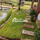 Cần bán lỗ khu vườn tuyệt đẹp ngay khu dân, có suối chảy bao quanh đất.