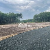 BÁN ĐẤT FULL THỔ, CÁCH MẶT TIỀN ĐƯỜNG ….KHOẢNG 200m