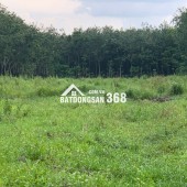 BÁN ĐẤT LỚN TÂY NINH – HƠN 1HA – CÓ 400M² THỔ CƯ – MẶT TIỀN ĐƯỜNG LỚN – GIÁ CHỈ 12 TỶ