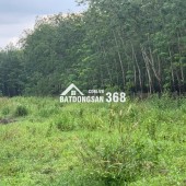 BÁN ĐẤT MẶT TIỀN ĐH.244 – HƠN 1HA CÓ THỔ CƯ – VỊ TRÍ ĐẸP TẠI TÂN CHÂU, TÂY NINH – GIÁ 16 TỶ