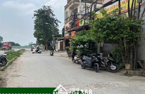 BÁN ĐẤT TẶNG NHÀ HẺM OTO TRÁNH SẴN SỔ NGAY VINHOMES CỔ LOA