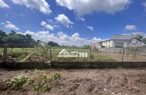 Bán Gấp 1000m2 Đất Vườn Giá 210 Triệu Liên Hệ 0706320631 gặp A An
