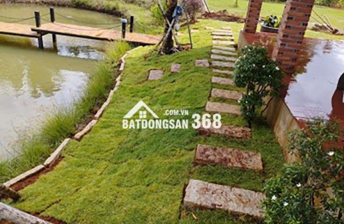 Cần bán lỗ khu vườn tuyệt đẹp ngay khu dân, có suối chảy bao quanh đất.