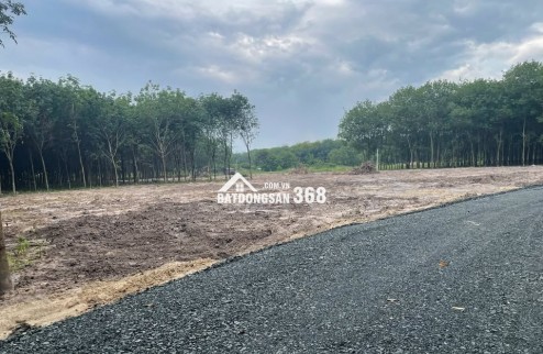 BÁN ĐẤT FULL THỔ, CÁCH MẶT TIỀN ĐƯỜNG ….KHOẢNG 200m