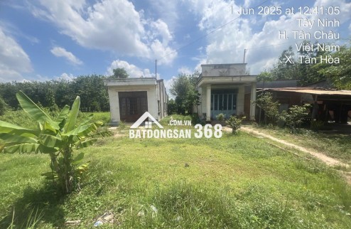 BÁN ĐẤT MẶT TIỀN ĐƯỜNG ĐH.244 – HƠN 1HA – THỔ CƯ SẴN 400M² – GIÁ 12 TỶ